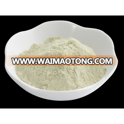 Vacuum Freeze Dried Banana Powder