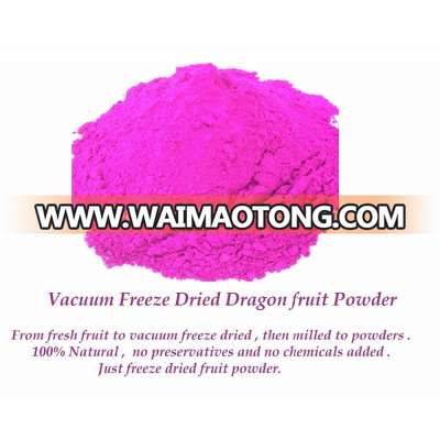 High Quality Vacuum Freeze Dried Pitaya fruit powders from Thailand in Bulk packs