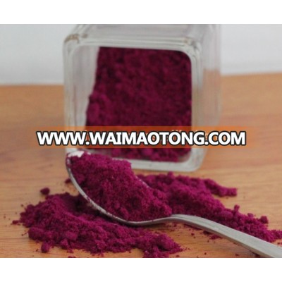 Vacuum freeze dried dragon fruit powder : Pitaya powder 100% . Healthy pitaya powder from Thailand