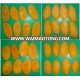 IQF Frozen Mango " Nam Duk Mai " flesh from Thailand [ A high quality products from Thai Ao Chi Fruits ]